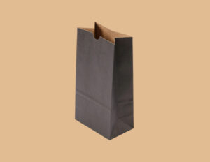Paper Lunch Bags