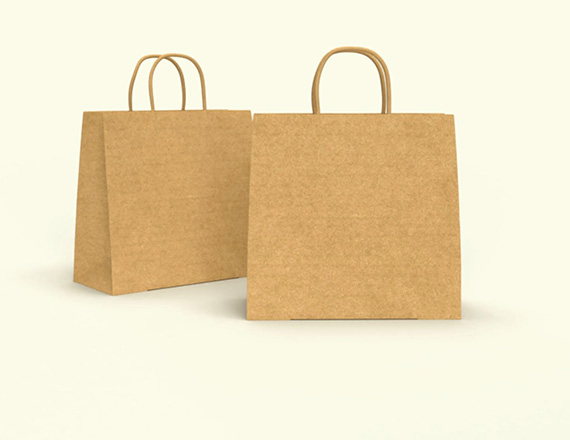Paper Bags With Handles