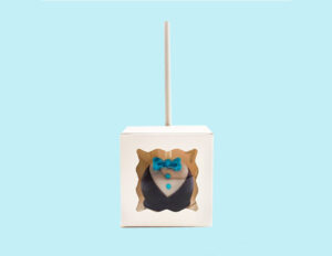 Cake Pop Boxes