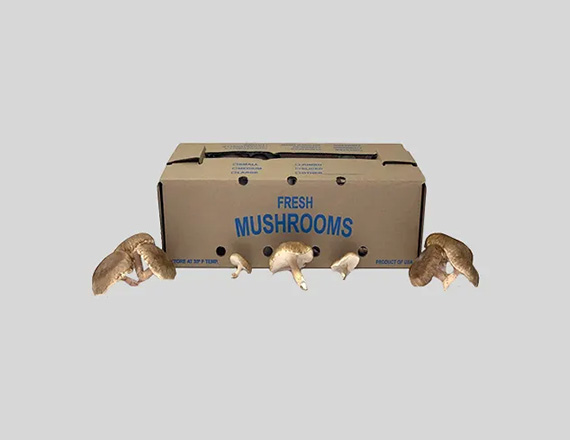Mushroom Boxes