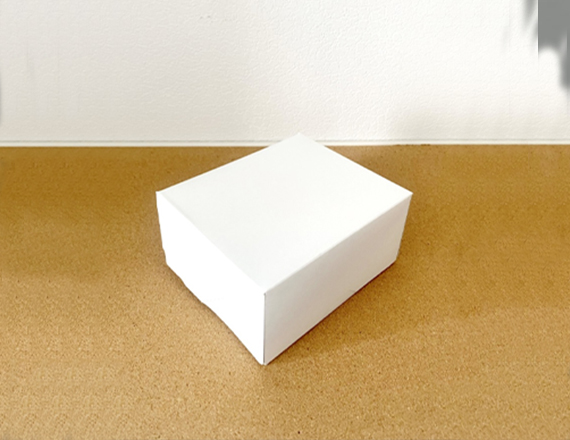 White Cardboard Boxes