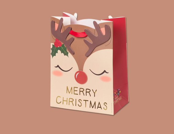 Christmas Paper Bags