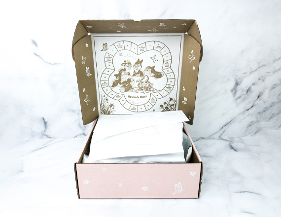 Disney Subscription Boxes
