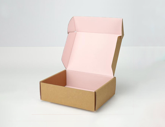 Ear Lock Mailer Box