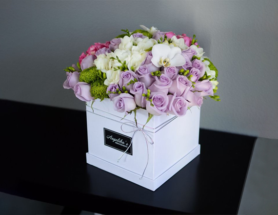 Flower Boxes