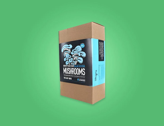 custom mushroom packaging boxes