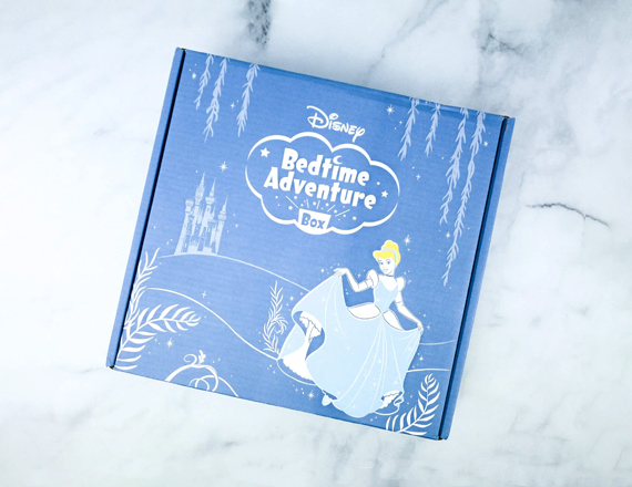 Disney Subscription Boxes