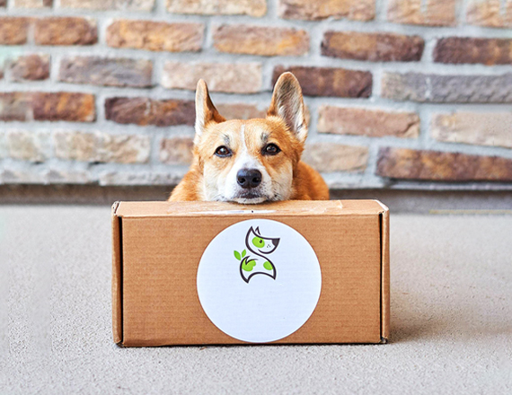 Pet Food Subscription Boxes