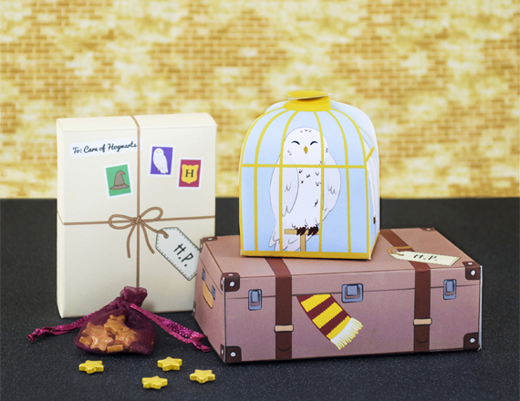 Harry Potter Subscription Boxes