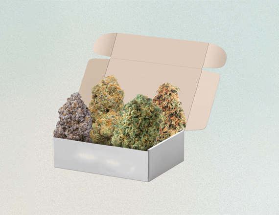 Monthly Weed Boxes