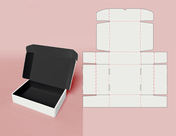Dielines Packaging