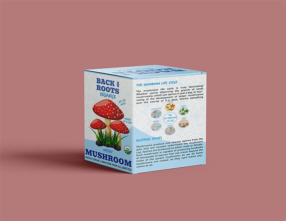 Mushroom Boxes