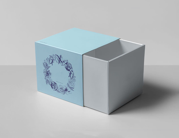 Packaging Sleeves