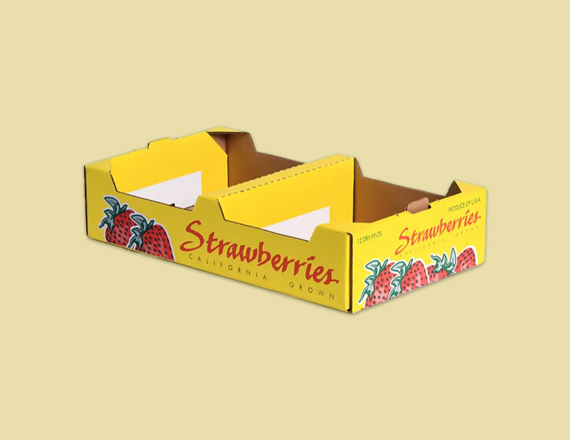 Strawberry Boxes