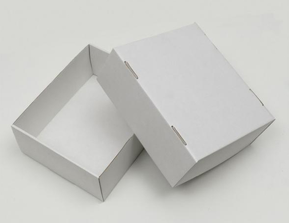 White Kraft Boxes